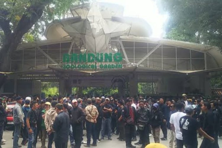 Makin Runyam, Ratusan Orang Berkumpul di Kebun Binatang Bandung Menolak Rencana Pengegelan oleh Pemkot Bandung