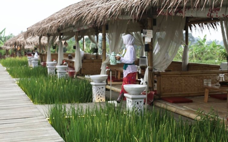 Suguhkan One Stop Wisata di Bogor, D'Sawah Resort Tempatnya Resto dan Rekreasi