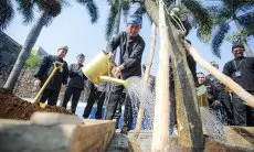 Pemkot Bandung Tanam 100 Pohon Pule Sepanjang Jalan Sudirman