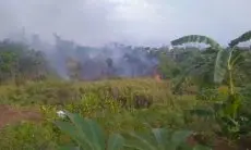 Sepanjang Juli 2023, Damkar KBB Tangani Kasus Kebakaran Alang-alang di Delapan Titik 