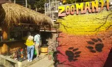 Zoomanji Resmi Dilaunching, Pengunjung Bakal Rasakan Sensasi Berpetualang di Alam Bersama Satwa