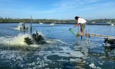 Program Electrifying Marine PLN Bertambah 2.169 Pelanggan, Pelaku Usaha Bisa Hemat Biaya Produksi Hingga 60%