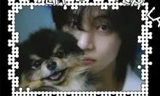 Ternyata Bukan Taehyung, Ini Bos Sesungguhnya dari Yeontan Anjing Peliharaan V BTS