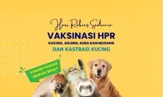 Kota Bandung Gelar Vaksinasi Rabies Gratis Selama September