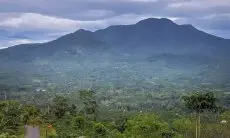 Memiliki Keanekaragaman Hayati yang Menarik, Gunung Pesagi Bisa Menjadi Alternatif Tujuan Pendakian