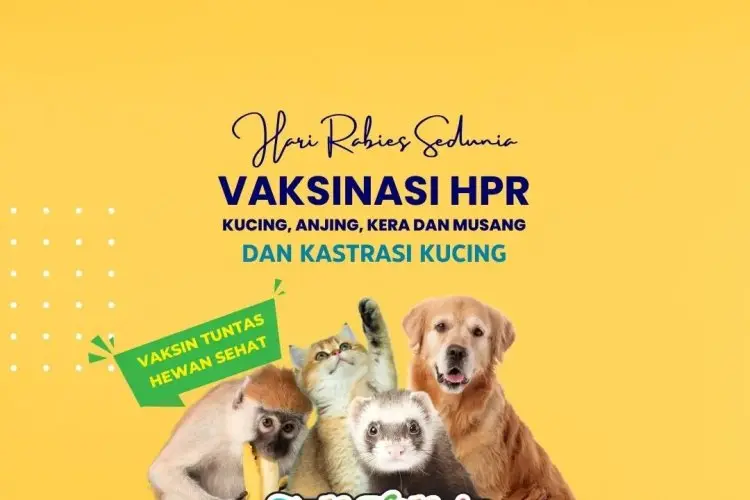 Kota Bandung Gelar Vaksinasi Rabies Gratis Selama September