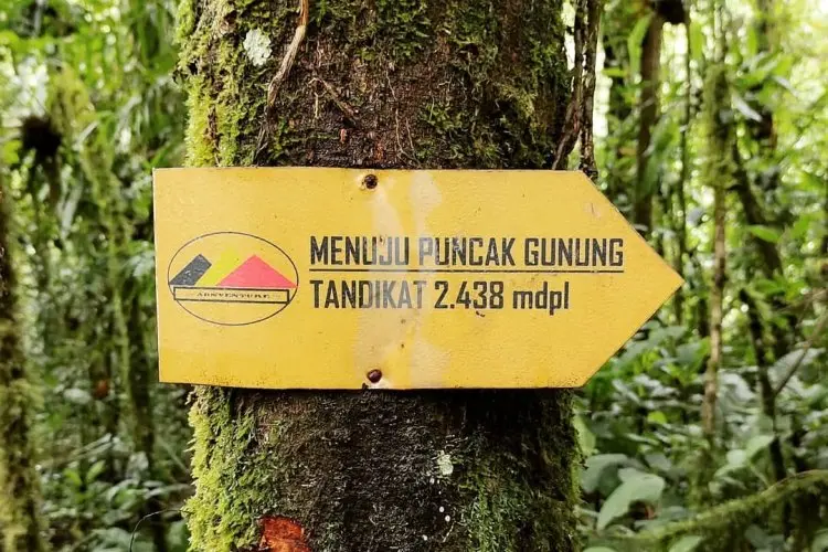 Memiliki Ketinggian 2.438 mdpl, Gunung Tandikat Bisa Menjadi Salah Satu Tujuan Pendakian untuk Pendaki Pemula