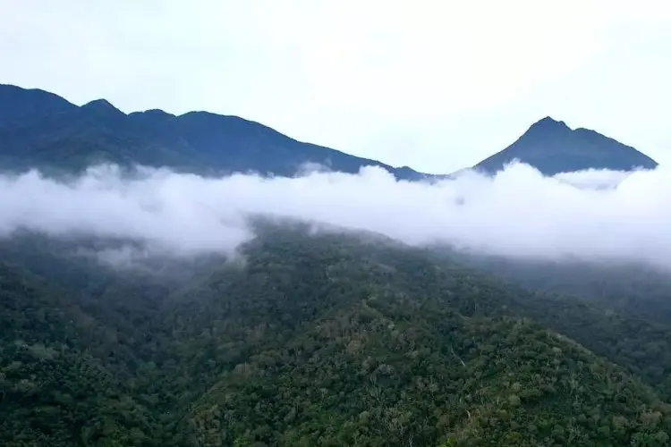 Miliki Medan yang Beragam dan Tak Selalu Mudah, Gunung Geureudong Menjadi Tantangan Bagi Para Pendaki