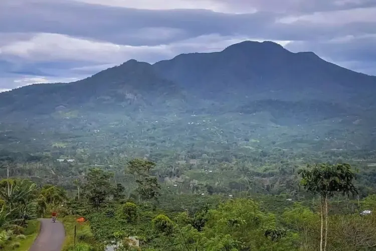 Memiliki Keanekaragaman Hayati yang Menarik, Gunung Pesagi Bisa Menjadi Alternatif Tujuan Pendakian