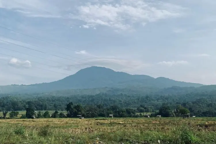 Ingin Mendaki Gunung di Aceh, Gunung Seulawah Agam Bisa Menjadi Salah Satu Rekomendasi untuk Kamu