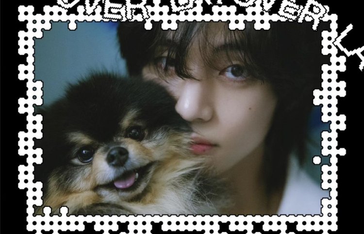 Ternyata Bukan Taehyung, Ini Bos Sesungguhnya dari Yeontan Anjing Peliharaan V BTS