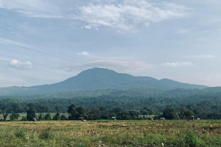 Ingin Mendaki Gunung di Aceh, Gunung Seulawah Agam Bisa Menjadi Salah Satu Rekomendasi untuk Kamu