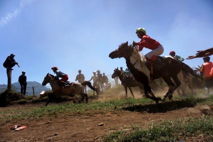 FOTO: Lomba Pacuan Kuda Tradisional di Lembang