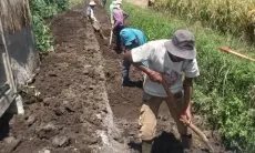 Ratusan Hektare Sawah di Garut Alami Kekeringan