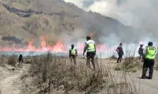 Ini Dia Sosok Tersangka Kebakaran bukit Teletubbies Taman Nasional Bromo