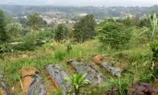 BSS Bantah Tudingan Kuasa Hukum Petani Penggarap, Beberkan Fakta Ini
