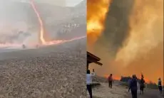 BNPB Sebut Denda Rp1,5 M untuk Pelaku Kebakaran Bukit Teletubbies Bromo Dinilai Kurang