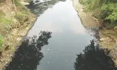 Pencemaran Sungai Cileungsi Makin Parah, Pemerintah dan Aparat Diminta Kibarkan Bendera Putih