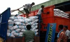 Harga Beras Merangkak Naik, Bey Triadi Pastikan Stok Aman