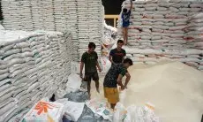 Perkuat Cadangan Pangan Nasional, Penyerapan Beras Dalam Negeri Tembus 3,5 Juta Ton