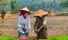 Aanya Rina Casmayanti, Calon Senator yang Greget Perbaiki Kondisi Jabar