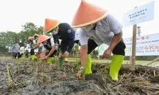 Intervensi Kenaikan Harga Beras, Disperindag Jabar Akan Awasi Industri Huller