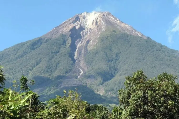Salah Satu yang Tertinggi di Flores Nusa Tenggara Timur, Inilah Kemegahan Gunung Ebulobo