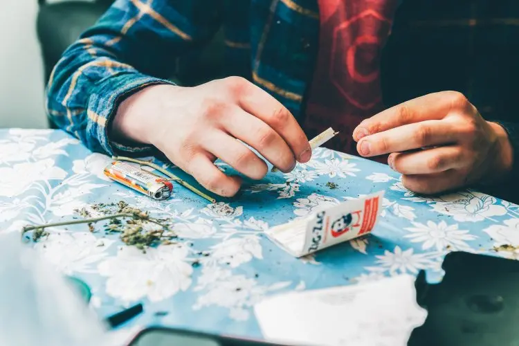 Mahasiswa Tingkat Akhir Terancam 20 Tahun Penjara Gegara Kedapatan Beli Ganja di Instagram