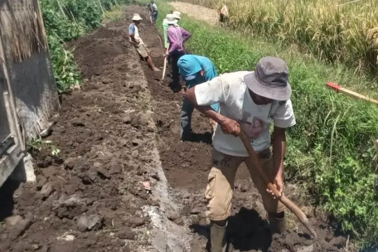Ratusan Hektare Sawah di Garut Alami Kekeringan