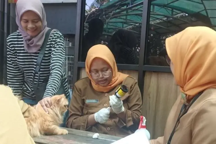 Peringati Hari Rabies Sedunia, DKPP Kota Bandung Gelar Vaksinasi Hewan Gratis di di Jalan Arjuna No 45