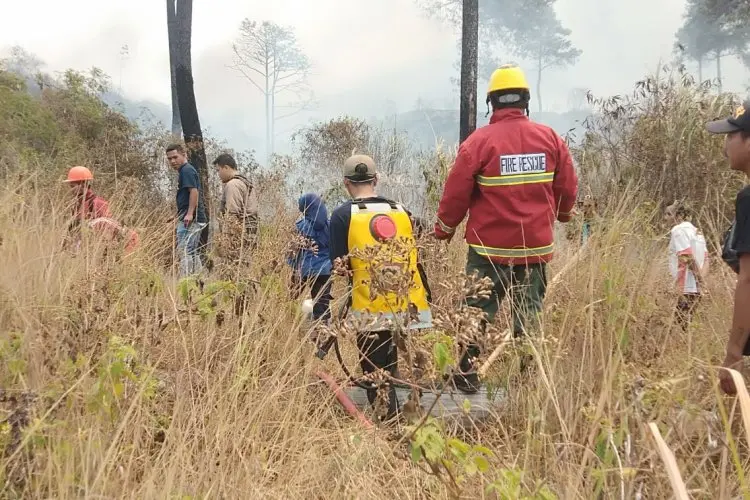 Pegiat Konservasi Terluka Bakar Saat Padamkan Kebakaran Gunung Guntur