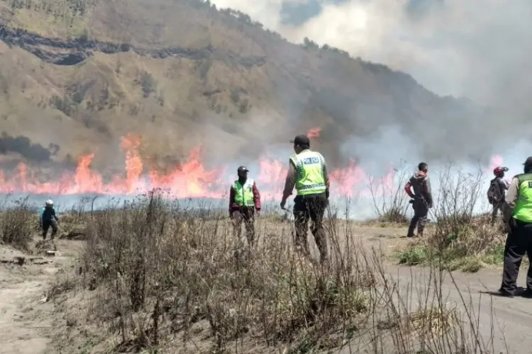 Ini Dia Sosok Tersangka Kebakaran bukit Teletubbies Taman Nasional Bromo