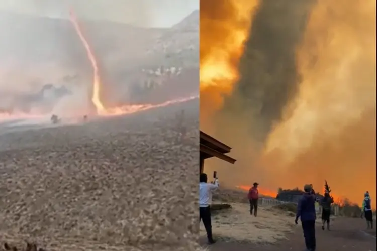 BNPB Sebut Denda Rp1,5 M untuk Pelaku Kebakaran Bukit Teletubbies Bromo Dinilai Kurang