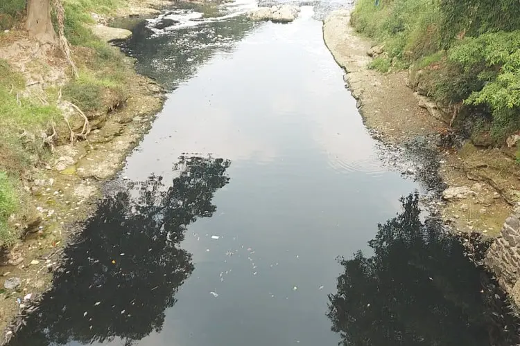 Pencemaran Sungai Cileungsi Makin Parah, Pemerintah dan Aparat Diminta Kibarkan Bendera Putih