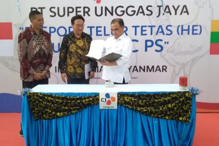 Surplus, PT Suja Kembali Ekspor Puluhan Ribu Telur Tetas ke Myanmar