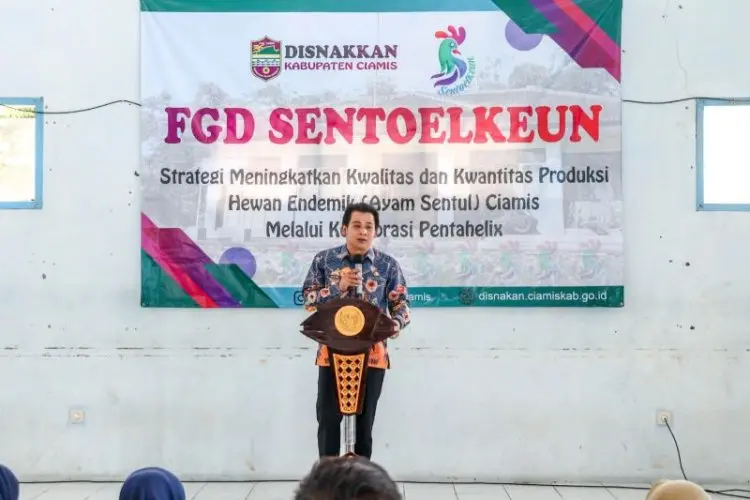 Ciamis Targetkan 12 Ribu Anak Ayam Sentul Bisa Dibudidayakan Peternak