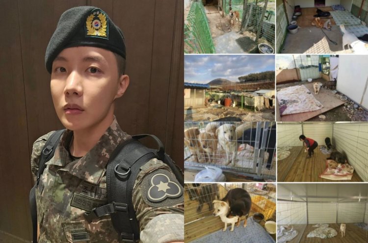 Baru terungkap, Ternyata J-Hope BTS Telah Mensponsori Tempat Penampungan Anjing Terbengkalai di Busan Selama 2 Tahun