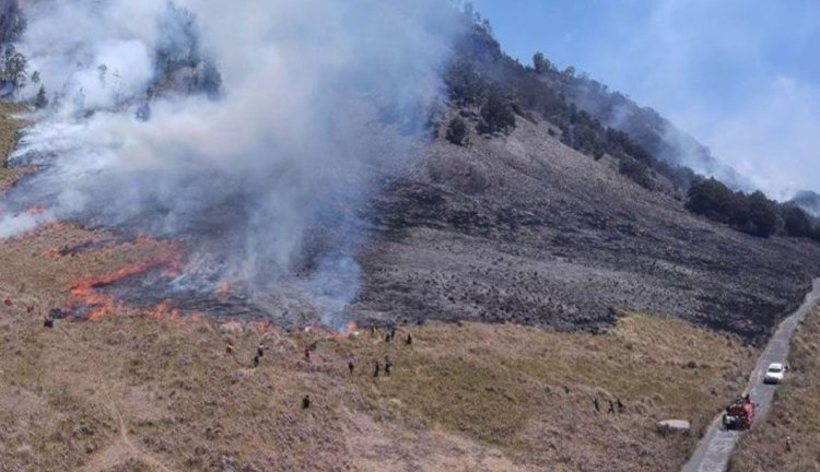 Kebakaran di Gunung Bromo Viral Gegara Foto Prewedding, Manajer WO Ditetapkan Jadi Tersangka