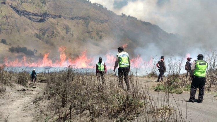 Ini Dia Sosok Tersangka Kebakaran bukit Teletubbies Taman Nasional Bromo