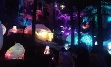 TWGC Lembang Hadirkan Wana Baru, Hutan MyCelia Bawa Anak Berpetualang di Malam Hari