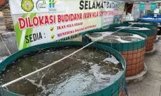 Program Electrifying Aquaculture   PLN Dongkrak Produktivitas Sektor Perikanan di Garut