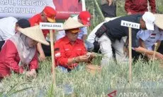 Pemkab Cianjur Tambah Lahan Pertanian Bawang Merah Tingkatkan Produksi