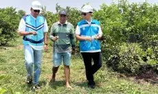 Hingga Triwulan III 2023, Program Electrifying Agriculture PLN Capai 230 Ribu Pelanggan Lantaran Tingkatkan Hasil Produksi 
