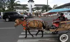Pemprov Jabar Terima Dua Penghargaan Implementasi SPBE 2023