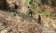 Polisi Periksa Kembali Lokasi Temuan Jasad Wanita di Sukabumi