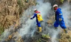 PGE Area Kamojang Aktif Padamkan Kebakaran di Gunung Papandayan