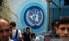 UNRWA Benarkan 53 Stafnya Tewas di Gaza