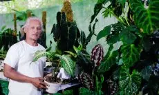 Pasar Tanaman Hias Kini Relatif Jenuh, Sunyoto Petani Tanaman Hias di Puncak Fokus Menjual Konsep Urban Jungle 