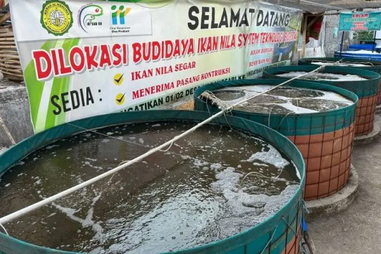 Program Electrifying Aquaculture   PLN Dongkrak Produktivitas Sektor Perikanan di Garut