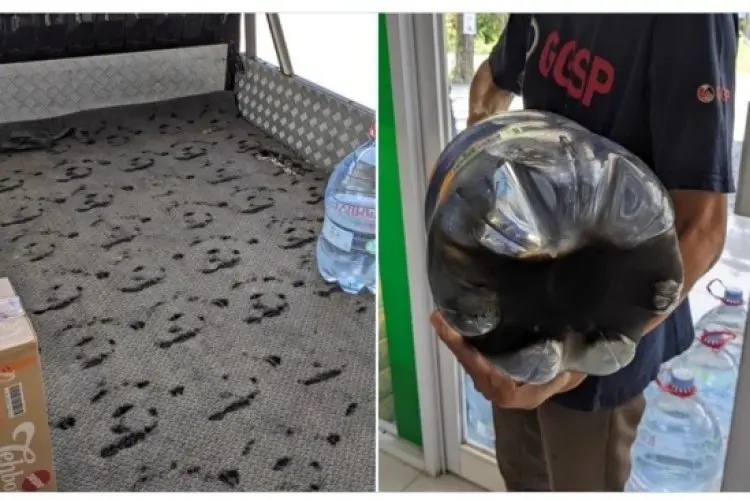 Hati Hati Terkecoh, Galon kemasan PET juga Belum Tentu Aman, Ini Alasannya